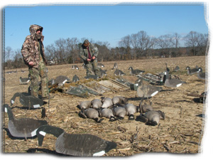 Maryland Goose Hunting, Duck Hunting, Deer Hunting, Professional Guide Service