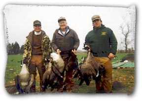Maryland Goose Hunting, Duck Hunting, Deer Hunting, Professional Guide Service